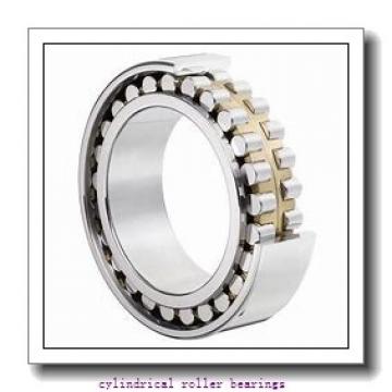 8.661 Inch | 220 Millimeter x 15.748 Inch | 400 Millimeter x 2.559 Inch | 65 Millimeter  CONSOLIDATED BEARING N-244 M  Cylindrical Roller Bearings