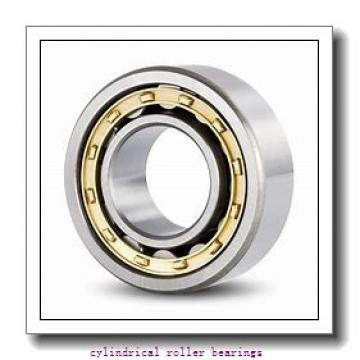 0.787 Inch | 20 Millimeter x 2.047 Inch | 52 Millimeter x 0.591 Inch | 15 Millimeter  CONSOLIDATED BEARING N-304 M  Cylindrical Roller Bearings