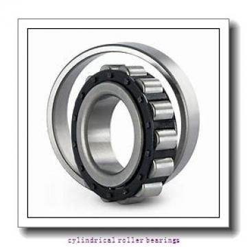 3.15 Inch | 80 Millimeter x 6.693 Inch | 170 Millimeter x 1.535 Inch | 39 Millimeter  CONSOLIDATED BEARING N-316E C/3  Cylindrical Roller Bearings