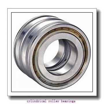8.661 Inch | 220 Millimeter x 15.748 Inch | 400 Millimeter x 2.559 Inch | 65 Millimeter  CONSOLIDATED BEARING N-244E M  Cylindrical Roller Bearings