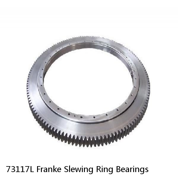 73117L Franke Slewing Ring Bearings